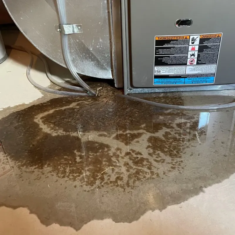 Pipe Burst and Leak Restoration in Barrington, NH
