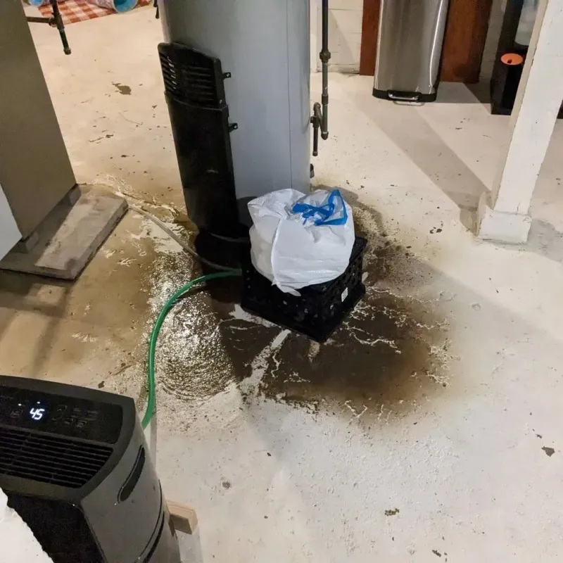 Sewage Backup Cleanup Service in Barrington, NH